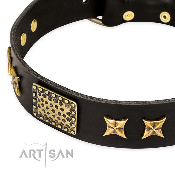 Natural genuine leather collar with rust-proof hardware for your stylish dog