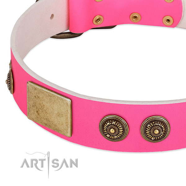 Embellished dog collar created for your impressive canine