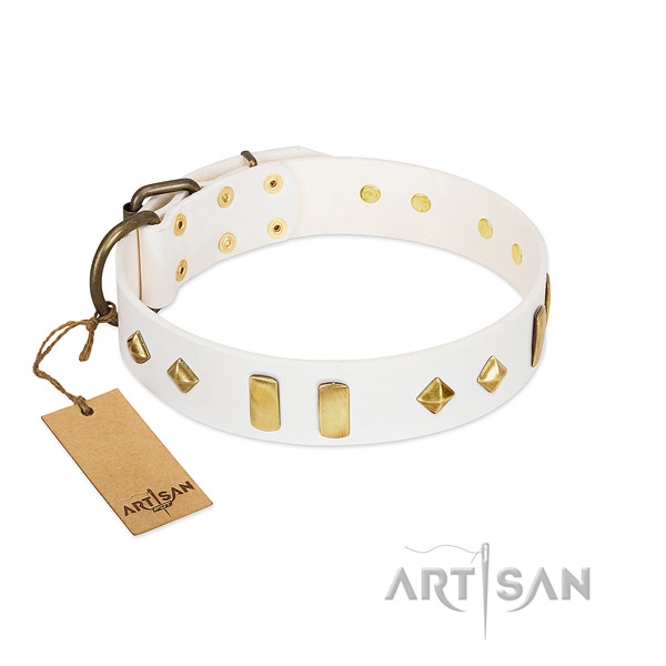 Daily walking best quality genuine leather dog collar with studs
