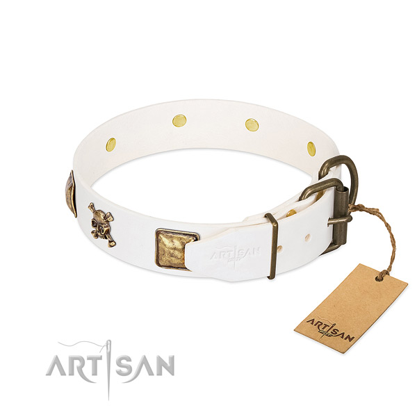 Unique natural leather dog collar with rust resistant embellishments