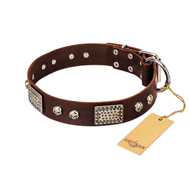 "Pirate Skull" FDT Artisan Brown Leather Bulldog Collar with Old Silver Look Plates and Skulls