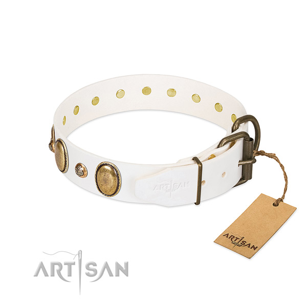 Stylish walking full grain genuine leather dog collar