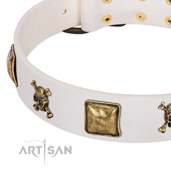 Significant natural leather dog collar with strong decorations