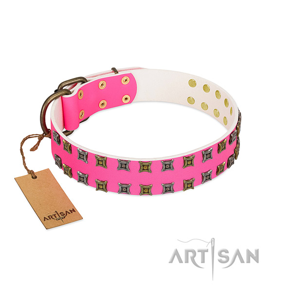 Full grain leather collar with impressive embellishments for your dog