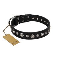 "Genteel Charm" FDT Artisan Black Leather Bulldog Collar with Silver-like Round Conchos