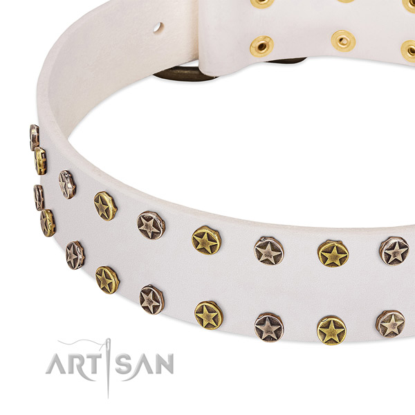Fashionable adornments on leather collar for your doggie