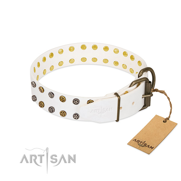 Natural leather collar with amazing adornments for your pet