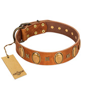 "Glossy Autumn" Designer Handmade FDT Artisan Tan Leather Bulldog Collar with Ovals and Studs