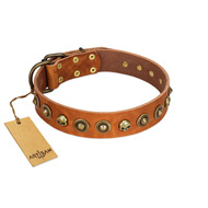 "Prez of the Pack" FDT Artisan Tan Leather Bulldog Collar with Skulls and Brooches