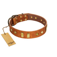 "Woofy Dawn" FDT Artisan Tan Leather Bulldog Collar with Plates and Rhombs