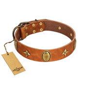 "Space Warrior" FDT Artisan Tan Leather Bulldog Collar with Ovals and Stars