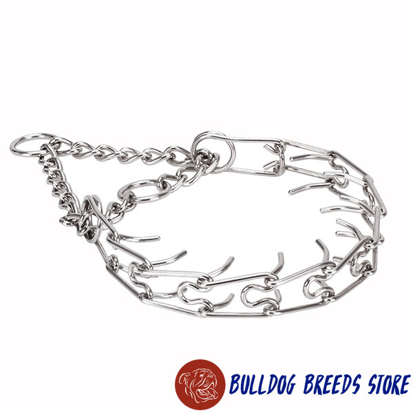 Stainless steel prong collar for badly behaved canines