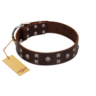 "Brown Shadow" Designer Handmade FDT Artisan Brown Leather Bulldog Collar