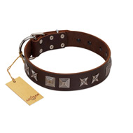 "Needle Stories" Modern FDT Artisan Brown Leather Bulldog Collar with Square Engraved Plates and Four-Point Stars