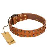 "Walk and Shine" FDT Artisan Tan Leather Bulldog Collar with Antiqued Studs