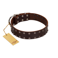 "Star Party" Handmade FDT Artisan Brown Leather Bulldog Collar with Silver-Like Studs