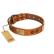 "Bronze Century" FDT Artisan Tan Leather Bulldog Collar with Plates and Brooches with Cool Ornament