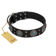 "Boundless Blue" FDT Artisan Black Leather Bulldog Collar with Chrome Plated Brooches and Square Studs