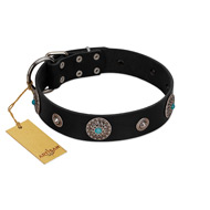 "Blue Gems" FDT Artisan Black Leather Bulldog Collar with Chrome Plated Studs and Conchos