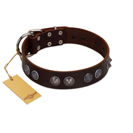 "King Arthur" FDT Artisan Brown Leather Bulldog Collar with Spiky Plates
