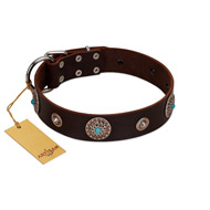 "Magic Stones" FDT Artisan Brown Leather Bulldog Collar with Chrome Plated Brooches and Studs