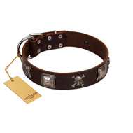 "Nut-Brown Finery" Embellished FDT Artisan Brown Leather Bulldog Collar with Chrome Plated Crossbones and Plates