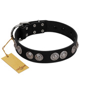 "Magic Amulete" Handcrafted FDT Artisan Black Leather Bulldog Collar with Chrome-Plated Shields