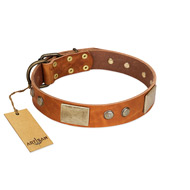 "Ancient Treasures" FDT Artisan Tan Leather Bulldog Collar with Antiqued Plates and Studs