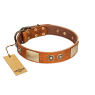 "Perfect Blend" FDT Artisan Tan Leather Bulldog Collar 1 1/2 inch (40 mm) wide
