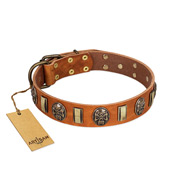 "Strike of Rock" FDT Artisan Tan Leather Bulldog Collar with Plates and Medallions with Skulls
