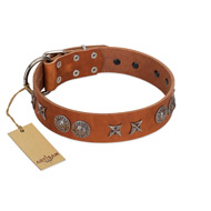 "Splendid Armor" Premium Quality FDT Artisan Tan Designer Bulldog Collar with Shields and Stars