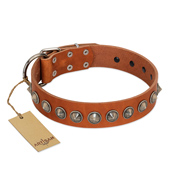 "Silver Spike" Handmade FDT Artisan Tan Leather Bulldog Collar with Old Silver-Like Spikes