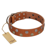 "Ancient Symbol" Trendy FDT Artisan Tan Leather Bulldog Collar with Silver- and Gold-Like Studs