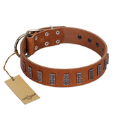 "Silver Century" Fashionable FDT Artisan Tan Leather Bulldog Collar with Silver-Like Plates