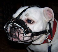 Anti-Barking Felt Padded Bulldog Wire Basket Muzzle  Anti-Barking Felt Padded Bulldog Wire Basket Muzzle