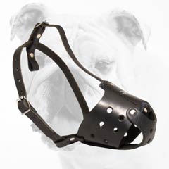 bulldog-leather-dog-muzzle-small