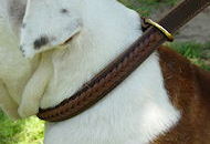 Gorgeous Wide 2 Ply Leather Choke Dog Collar