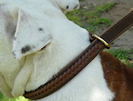Best 2 Ply Leather Bulldog Choke Collar