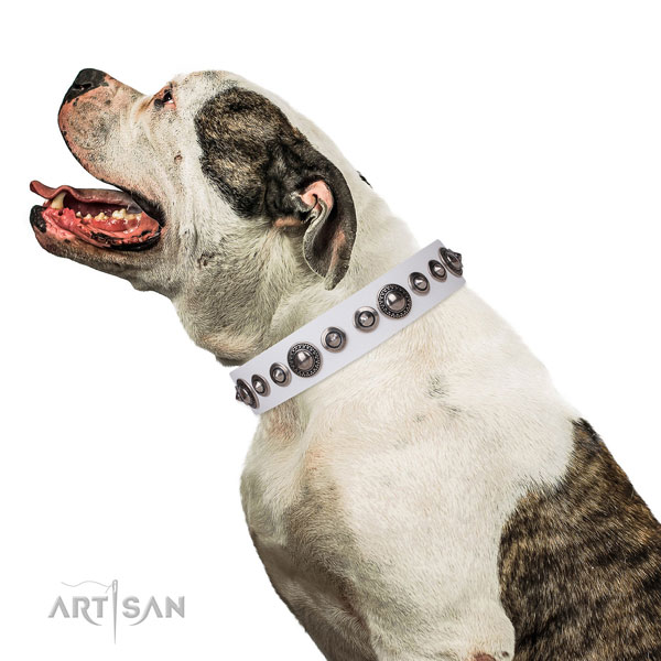 Stunning embellished natural leather dog collar for basic training