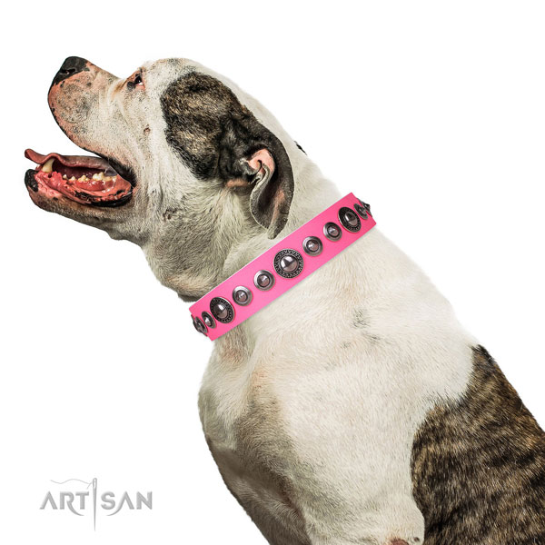 Stylish design studded natural leather dog collar for handy use