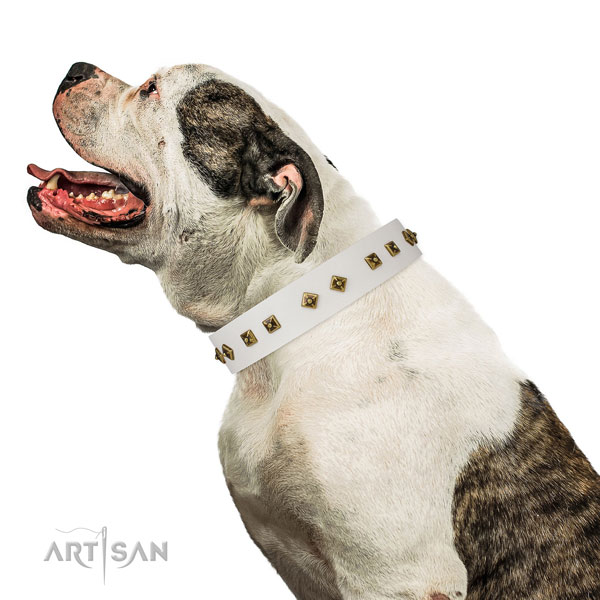 Exquisite decorations on fancy walking dog collar