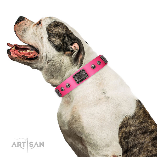Unusual genuine leather collar for your beautiful canine