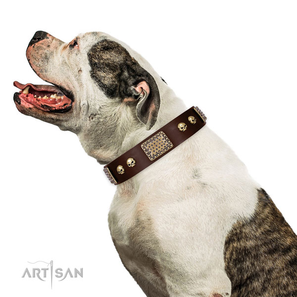 Strong fittings on full grain leather dog collar for handy use