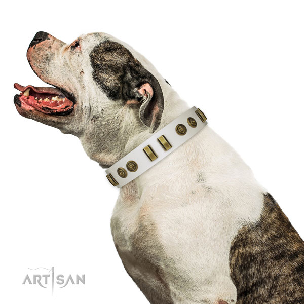 Corrosion resistant fittings on leather dog collar for walking