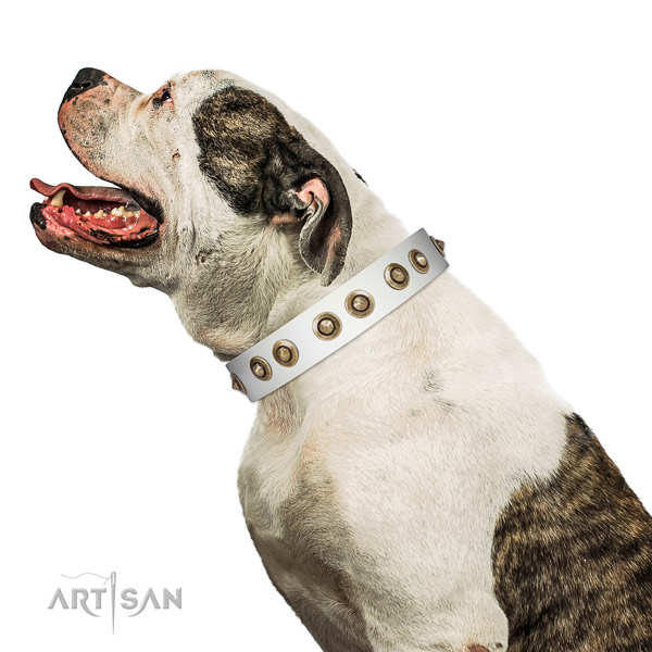 Comfortable wearing dog collar of genuine leather with stylish decorations