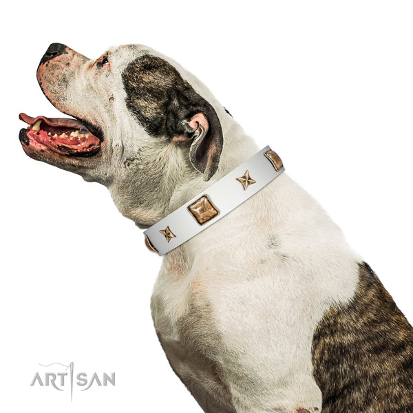 Trendy natural leather dog collar with decorations