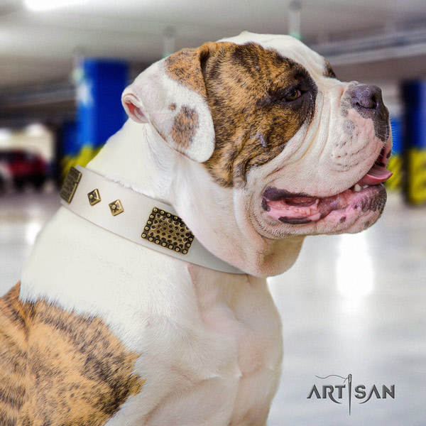 American Bulldog embellished genuine leather dog collar with exquisite decorations