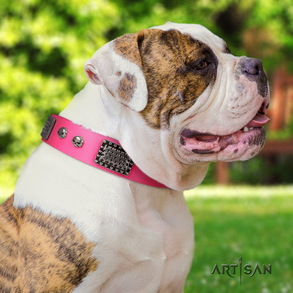 American Bulldog adorned full grain leather dog collar with unusual adornments