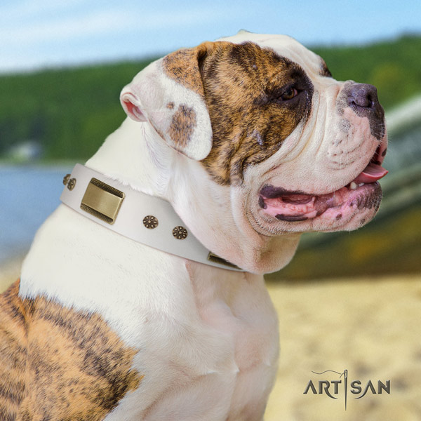 American Bulldog decorated full grain leather dog collar with top notch decorations
