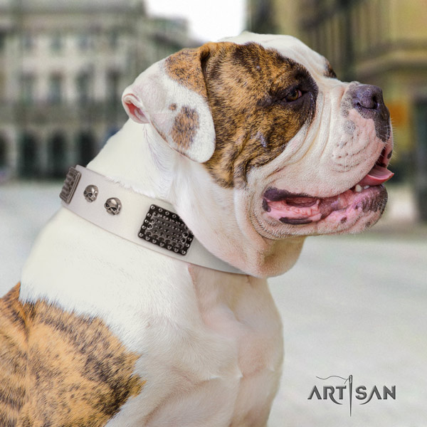 American Bulldog studded full grain leather dog collar with designer decorations